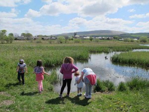 Throwing stones in the water